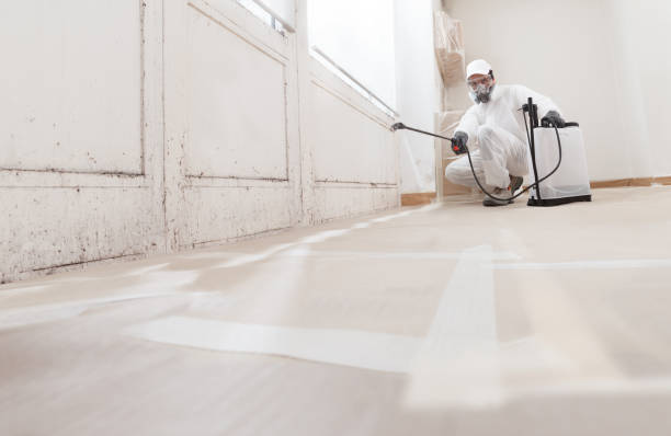 24/7 Emergency Mold Remediation experts in Belleville, MI