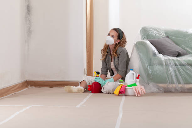 Reliable Mold Remediation contractor in Belleville, MI by Car Mold Remediation